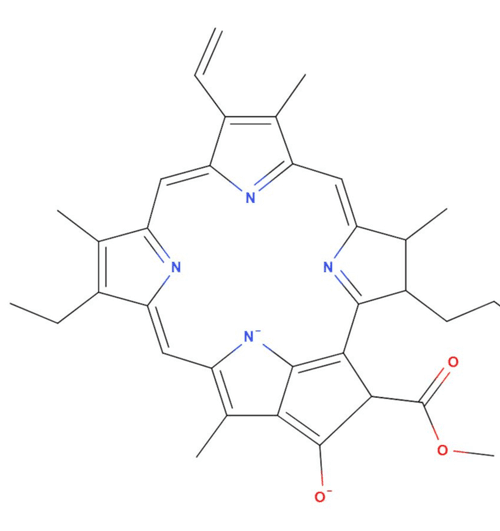 Chlorophyll (C55H72N4O5)