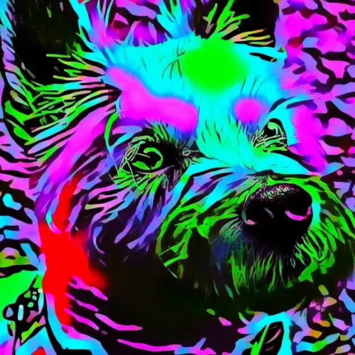 Breeds #42 (West Highland White Terrier) 