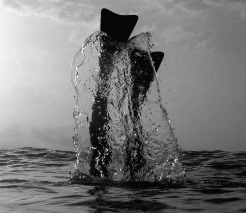 Dive Deep Within