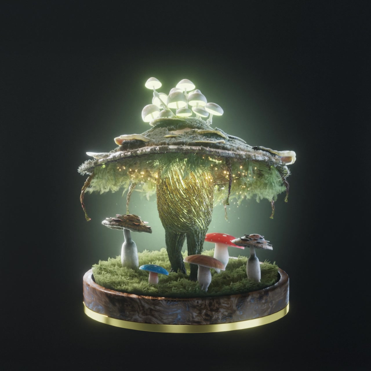 Fungi #53