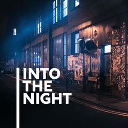 Into the  night. collection image