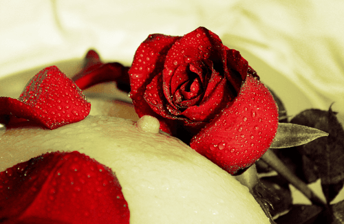 Tit&Roses