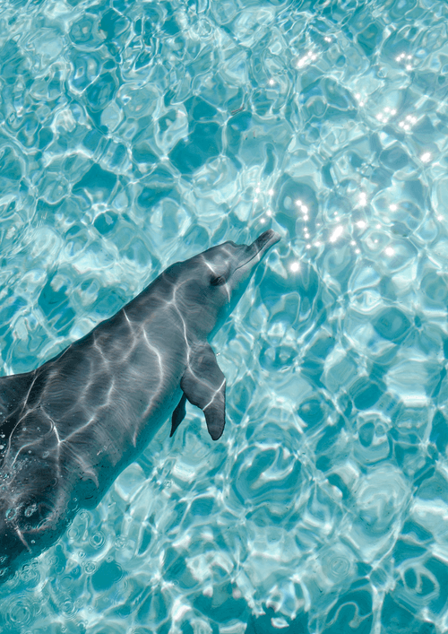 Ningaloo