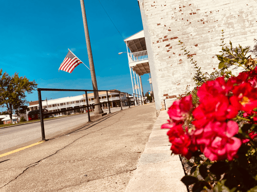 Walk on the 4th of July