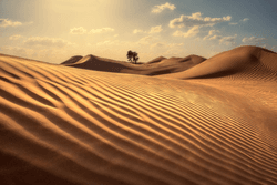 UAE Desertscapes collection image