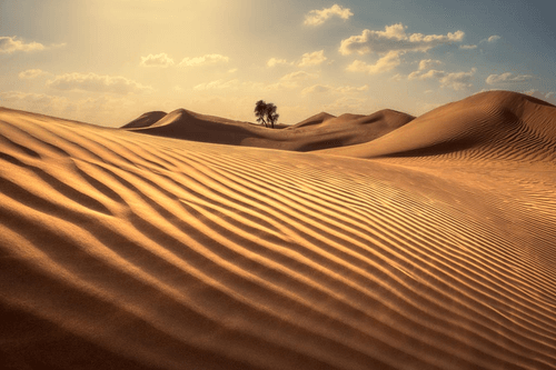 UAE Desertscapes