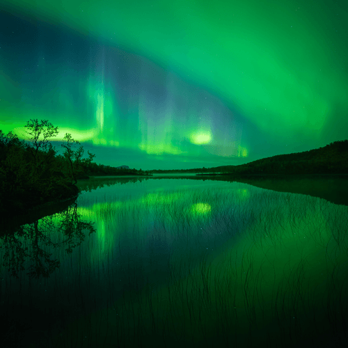 Arctic Wonders
