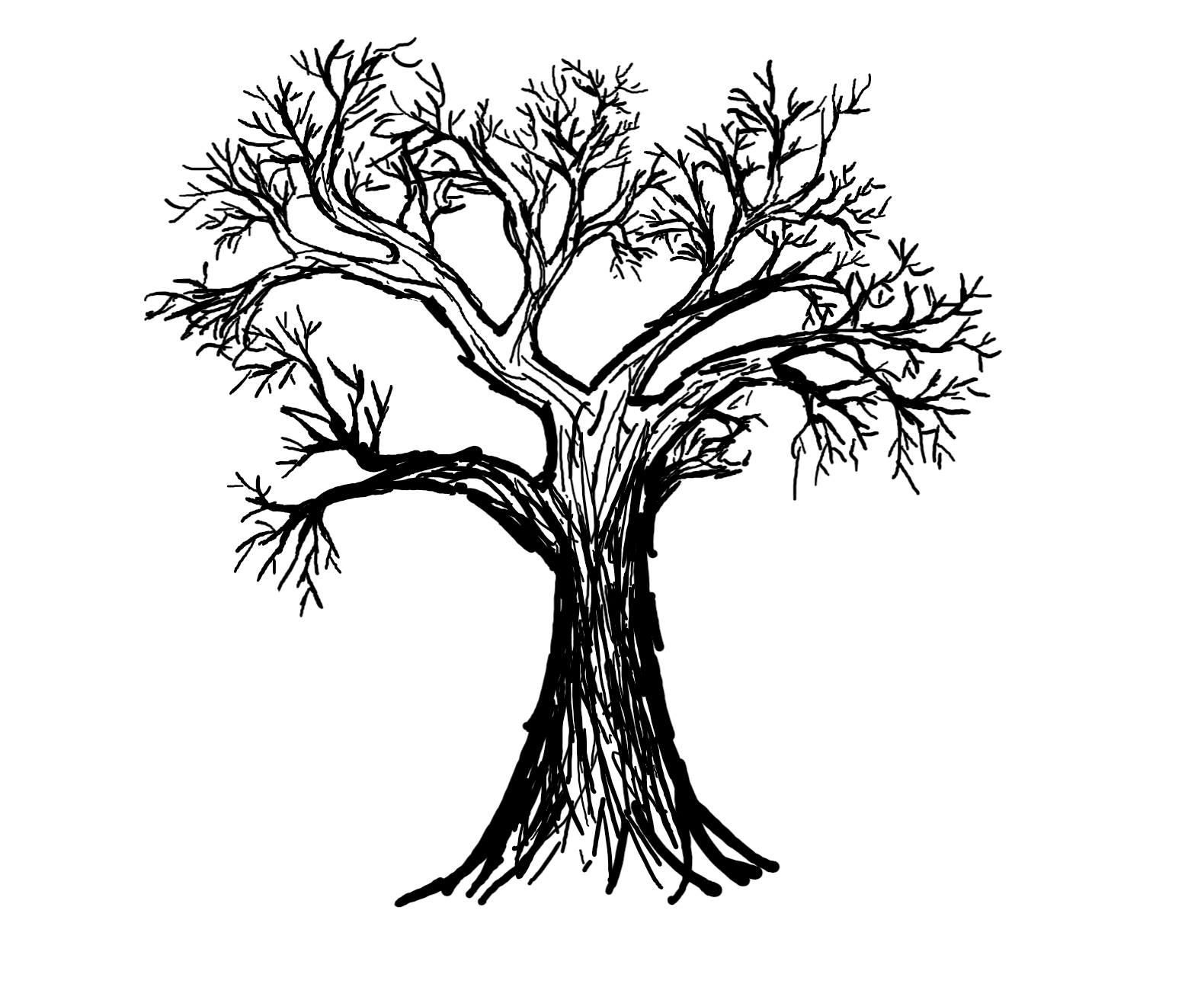 Trees for the Future. Collection OpenSea