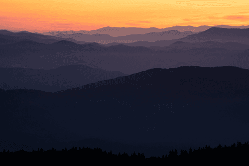 With Love From Appalachia #017