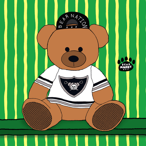 Bear Nation Away Bear