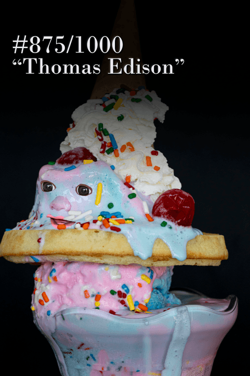 #875 - Thomas Edison