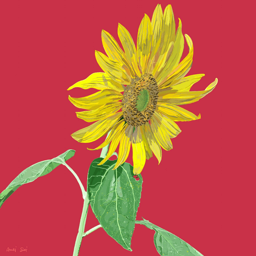 SUNFLOWER#001