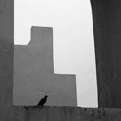 Jantar Mantar B&W Minimalism collection image