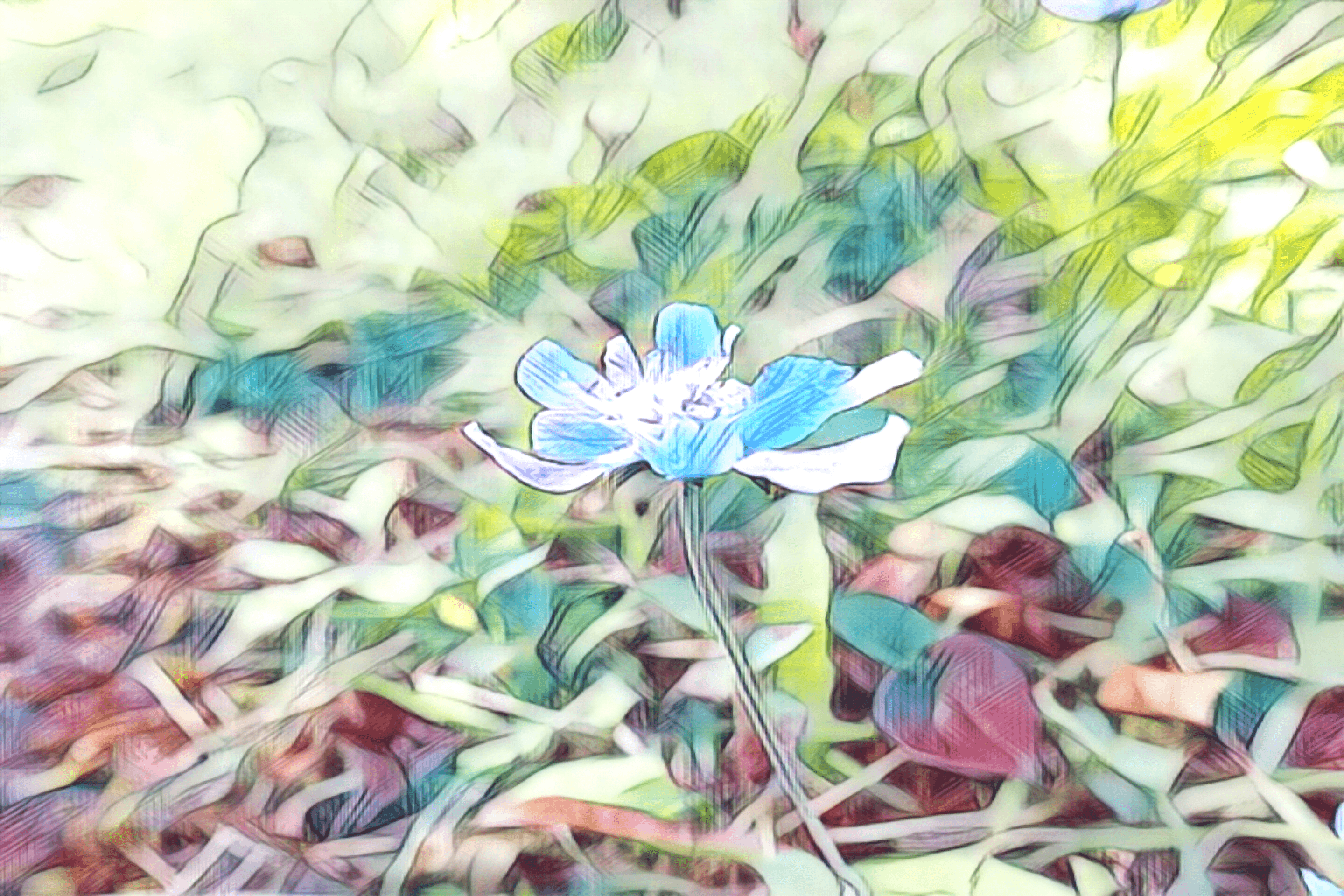 Flower Art - Experimental
