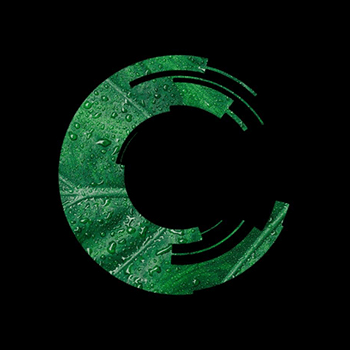 The Founders Leaf