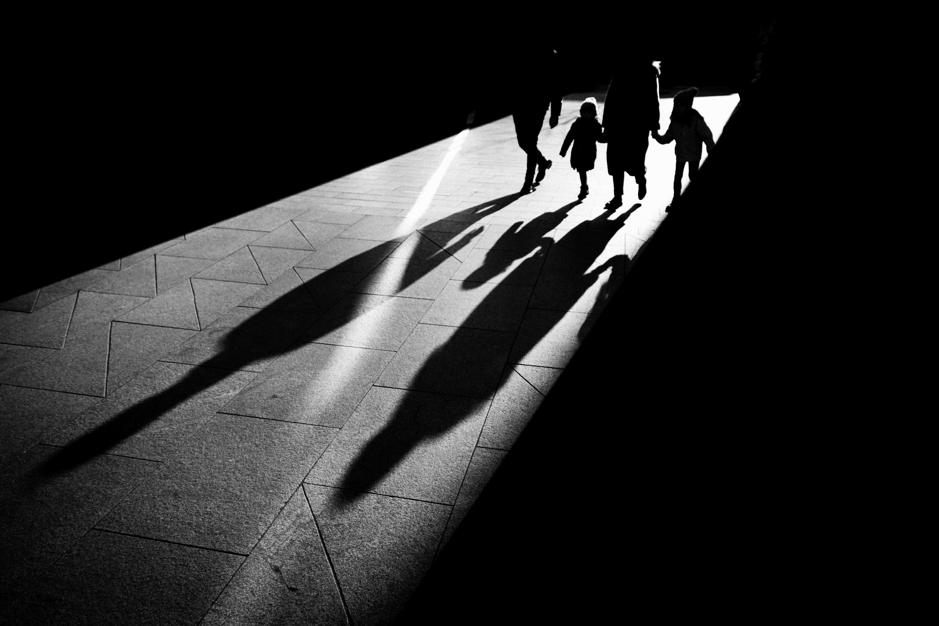 The Family In The Shadows