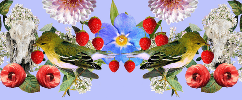The Strawberry Thieves Banner 14