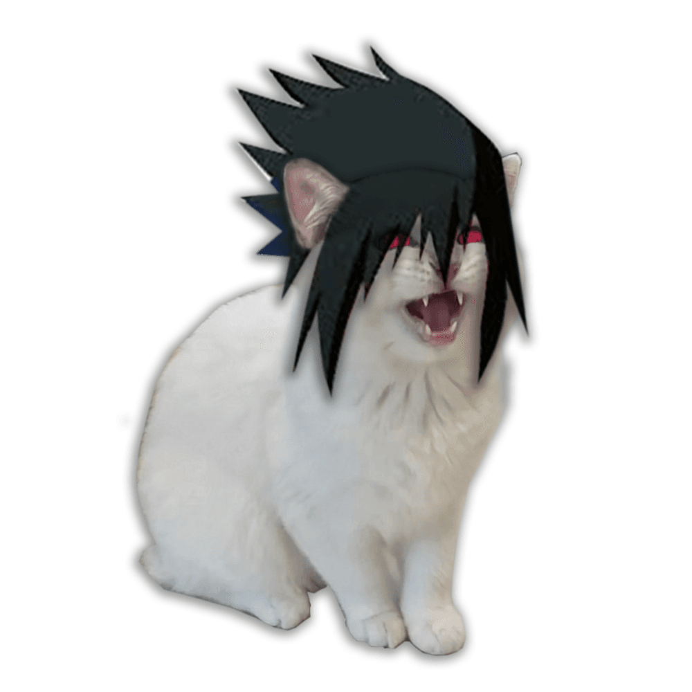 sasuke as a cat