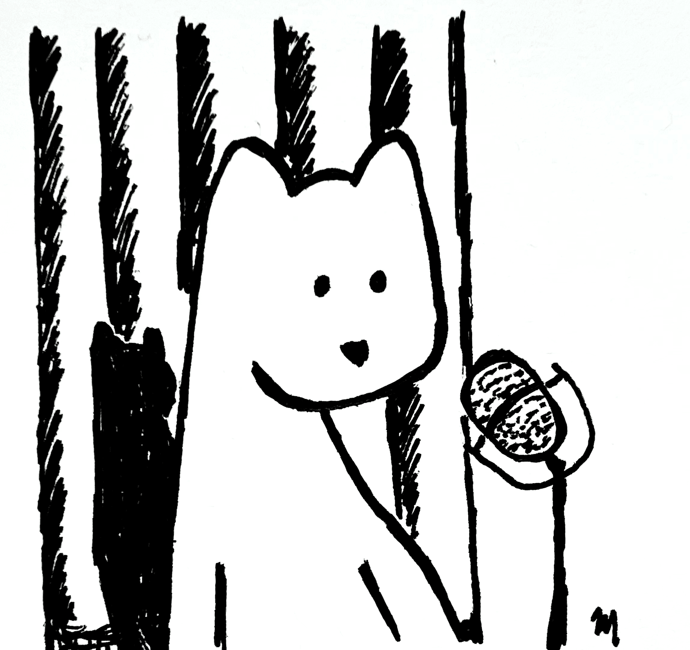 bear 015