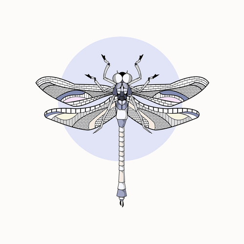 Anisoptera Tetradic: Lavender