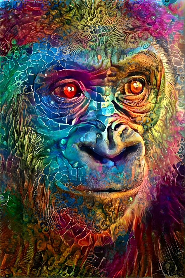 Gorilla gorilla #26