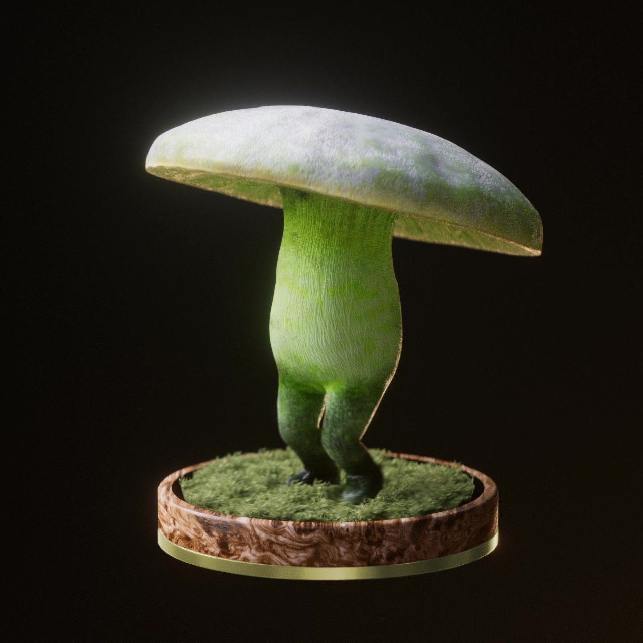 Fungi #33