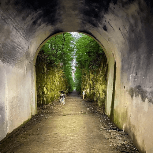 Tunnel pic