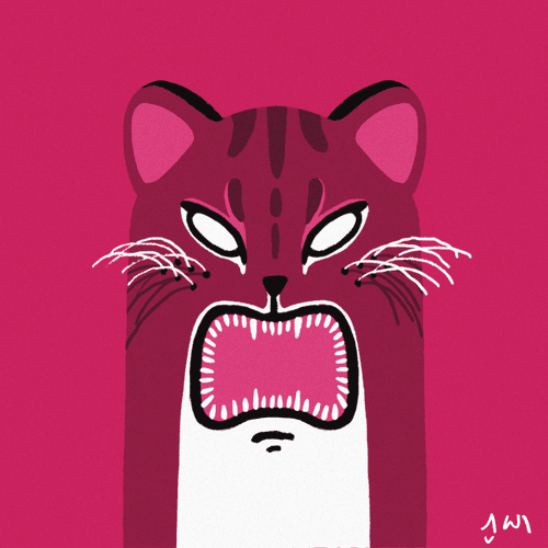 FELIDAE AND FRIEND