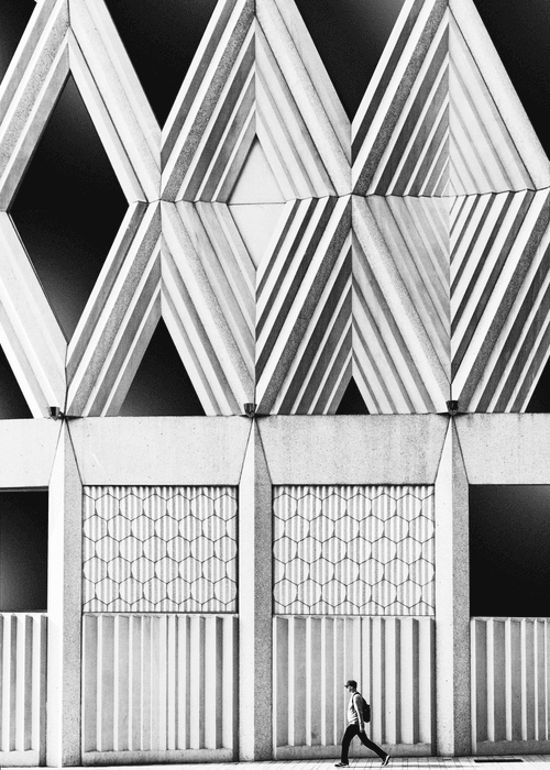 #41 Achromatic World | Contemplating City