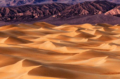 Caramel | Aaron Reed Photography