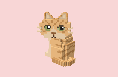 voxel CAT#02