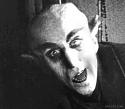 Nosferatu - A Symphony of Horror collection image