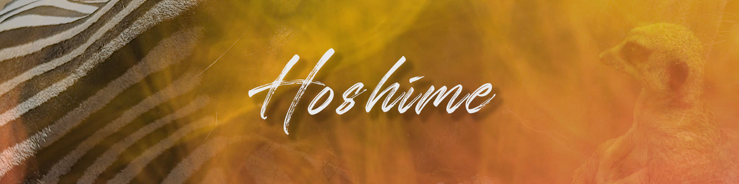 Hoshime banner
