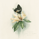 Qingchuan Rare Butterflies Art