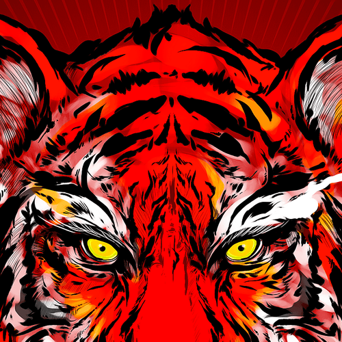 Tiger - Lunar New Year