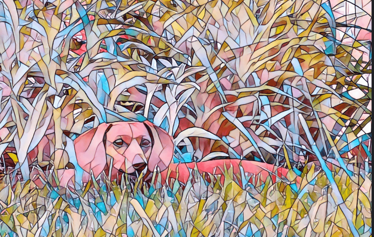 AKC Top Breeds in Pop Art Collection OpenSea