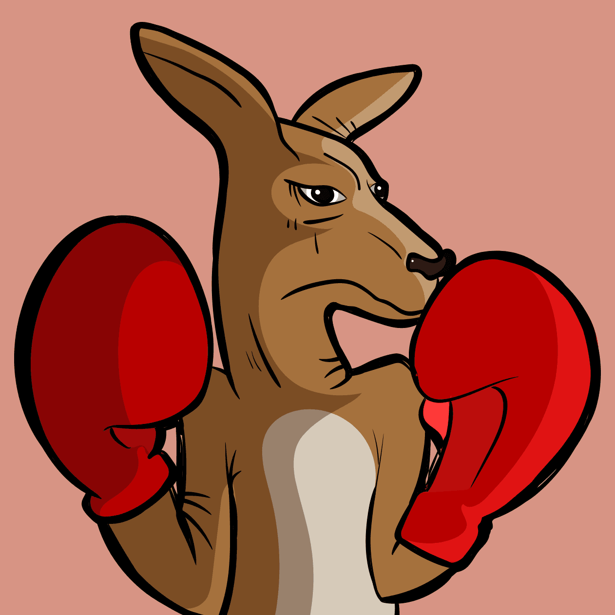 Boxing Kangaroo Collection Collection OpenSea