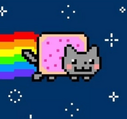 Nyan cats pet collection image
