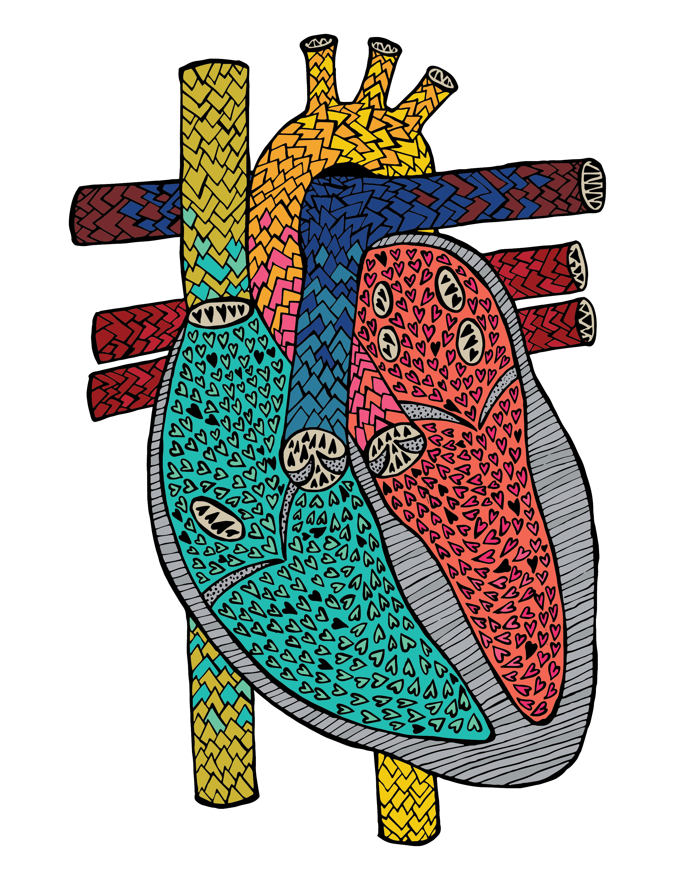Anatomical Heart #13