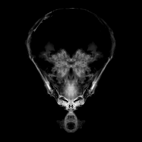 Alien Embryo - 160 of 2000