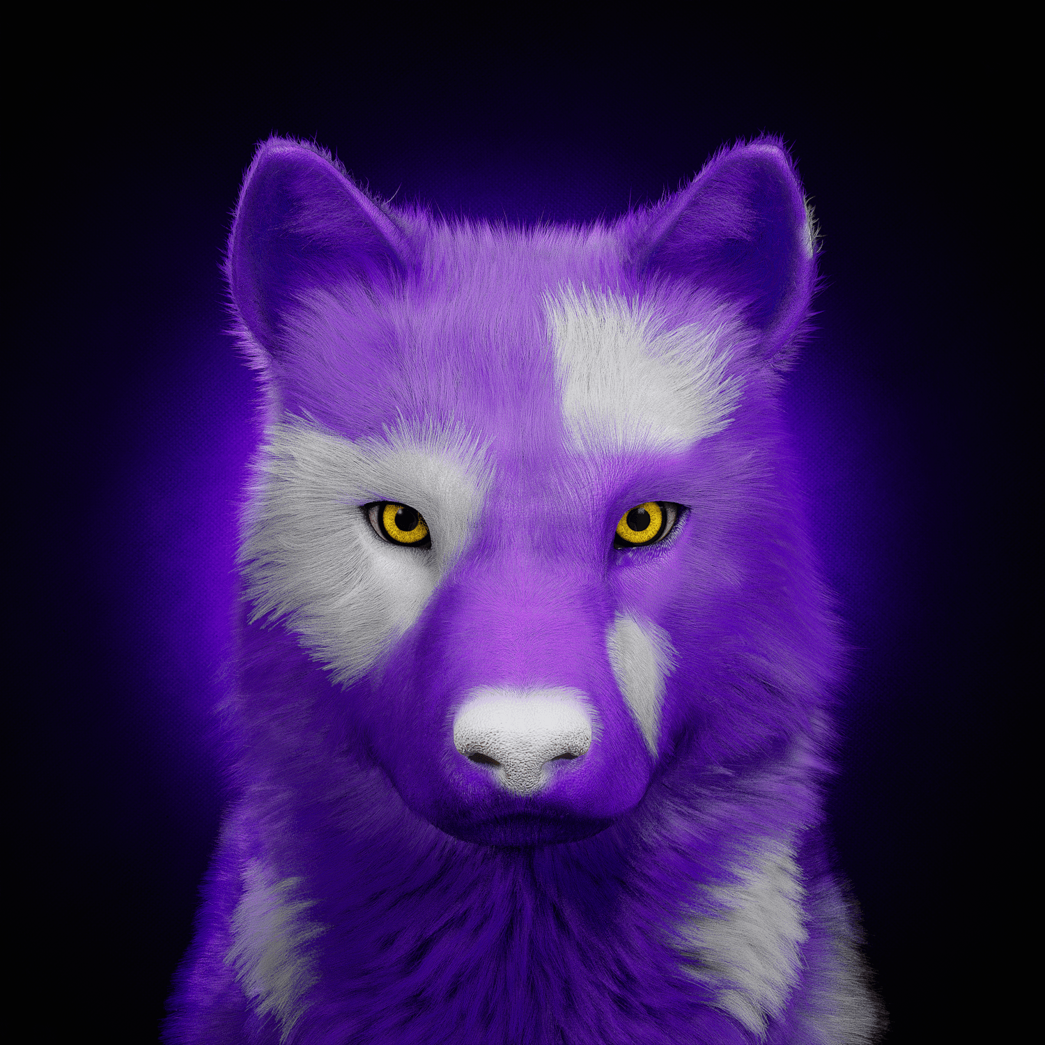Wolf #818