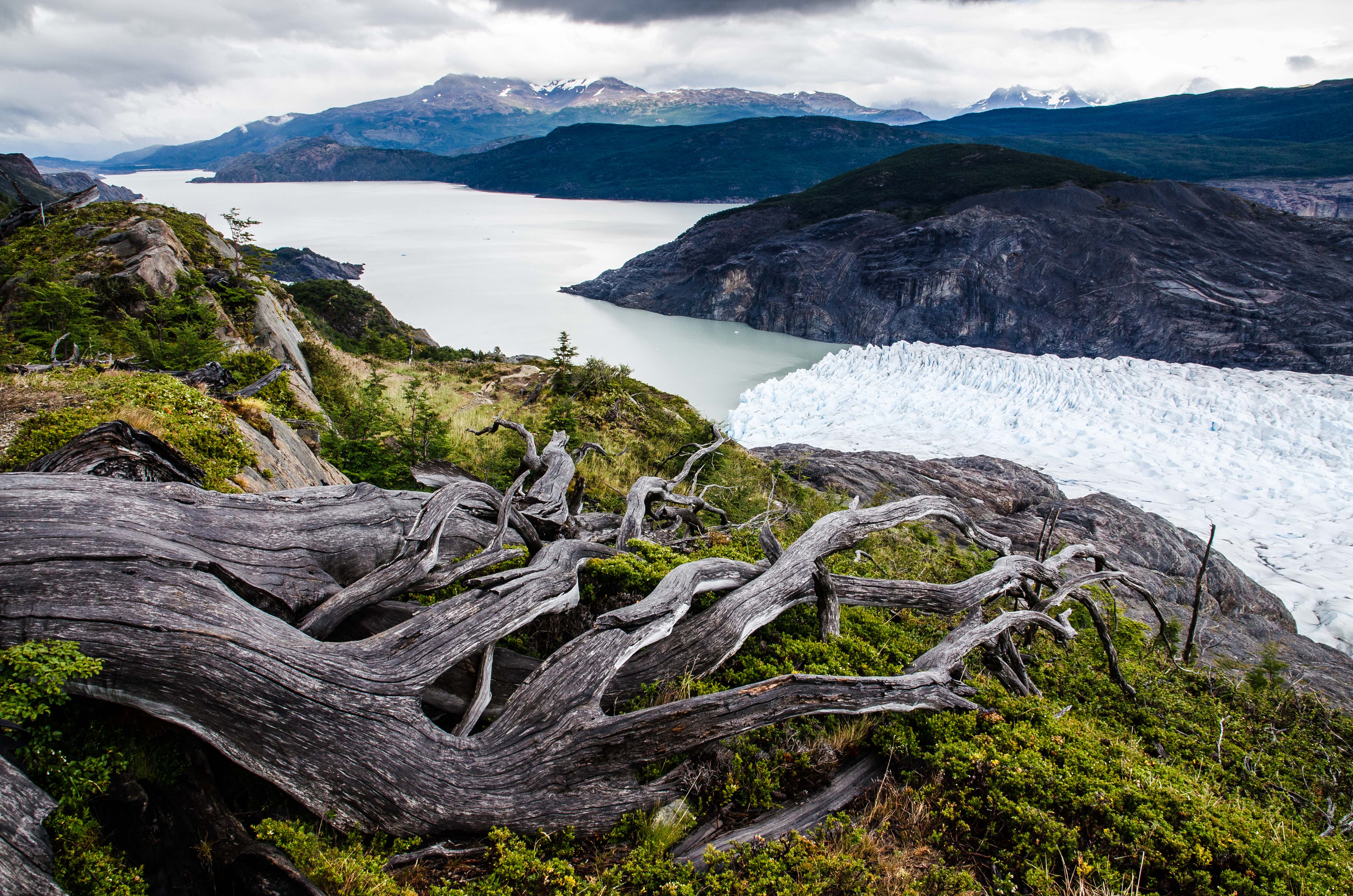 Natural Patagonia #4