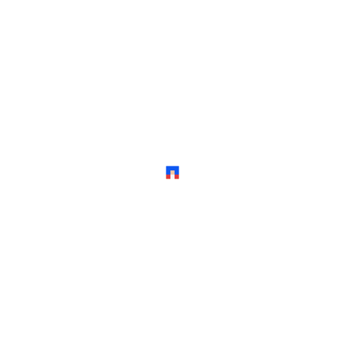 #46/100 - THE HEDGEHOG