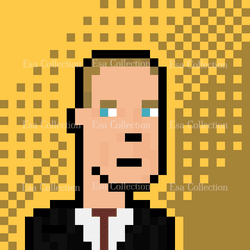 The Pixel Presidents collection image