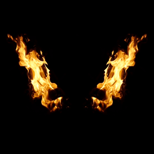 Phoenix #017