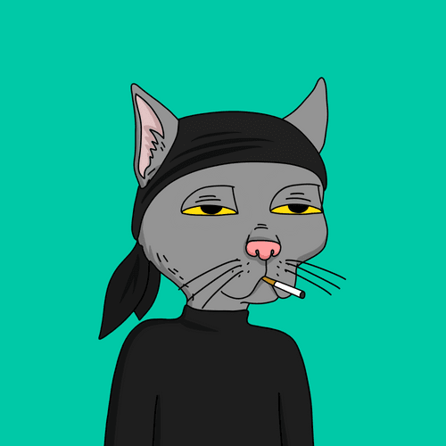 Kitty Litter
