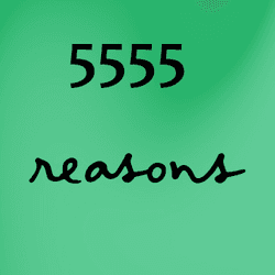 5555 Reasons - GaryVee collection image