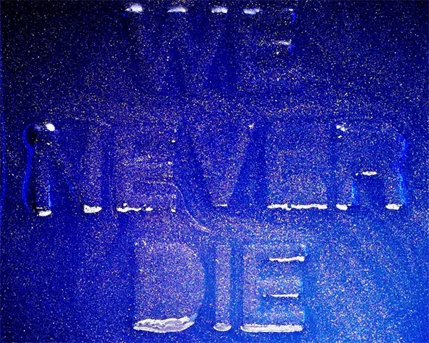 WE NEVER DIE ☠