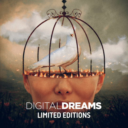 Digital Dreams