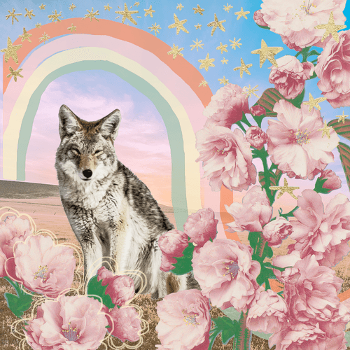 Spirit Animal Dream Oracle